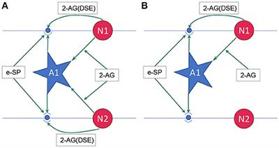 On the Self-Repair Role of Astrocytes in STDP Enabled Unsupervised SNNs